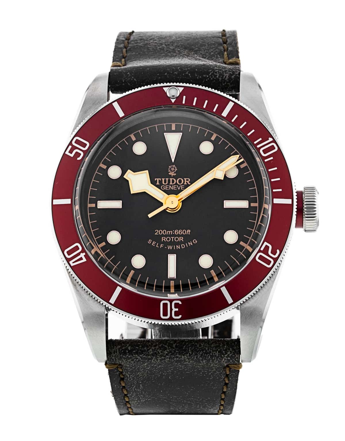 Tudor Heritage Black Bay 79220R